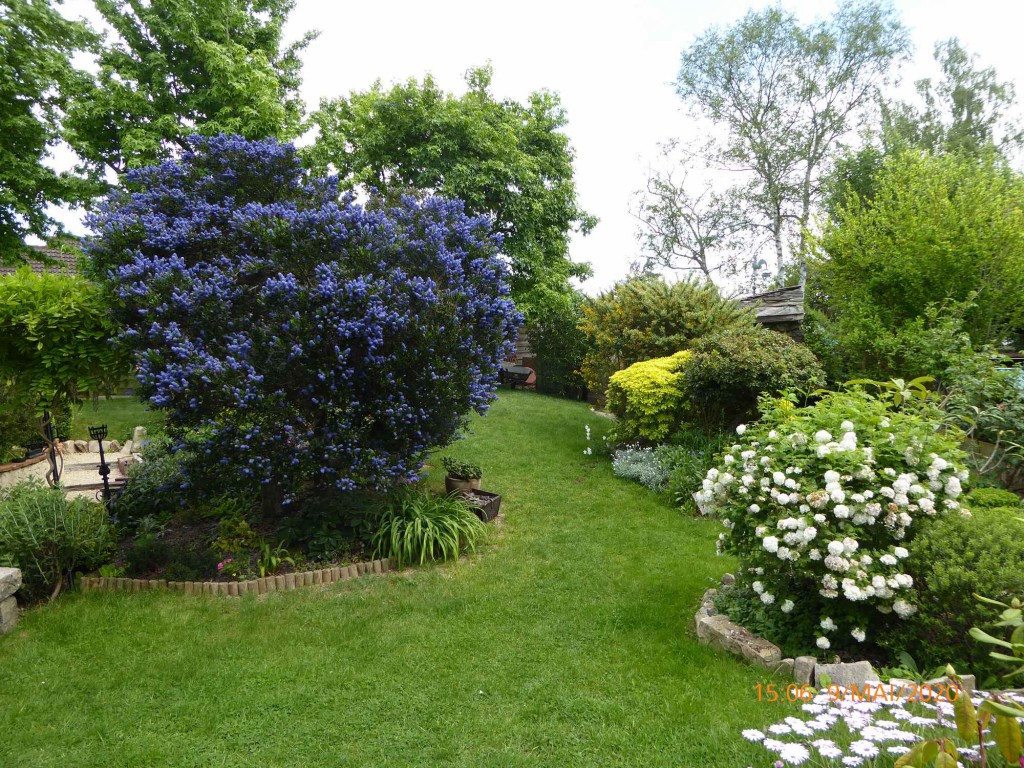 Mur de Fleurs