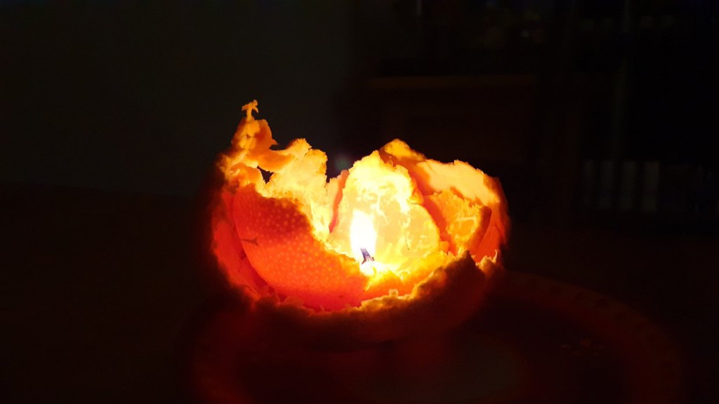 Isabelle février 2026 - 1