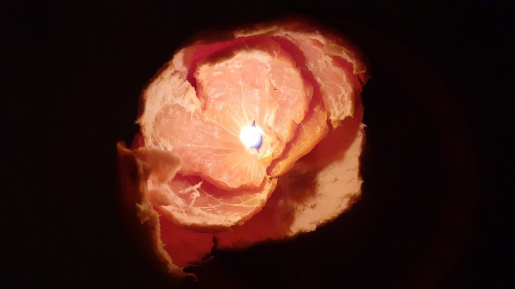 Isabelle février 2026 - 2