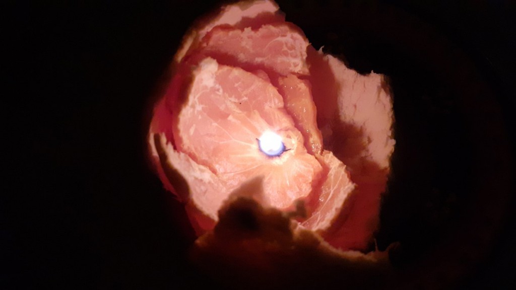 Isabelle février 2026 - 3