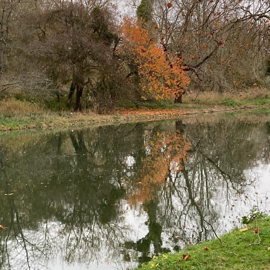 Rambouillet - nov 2025-07